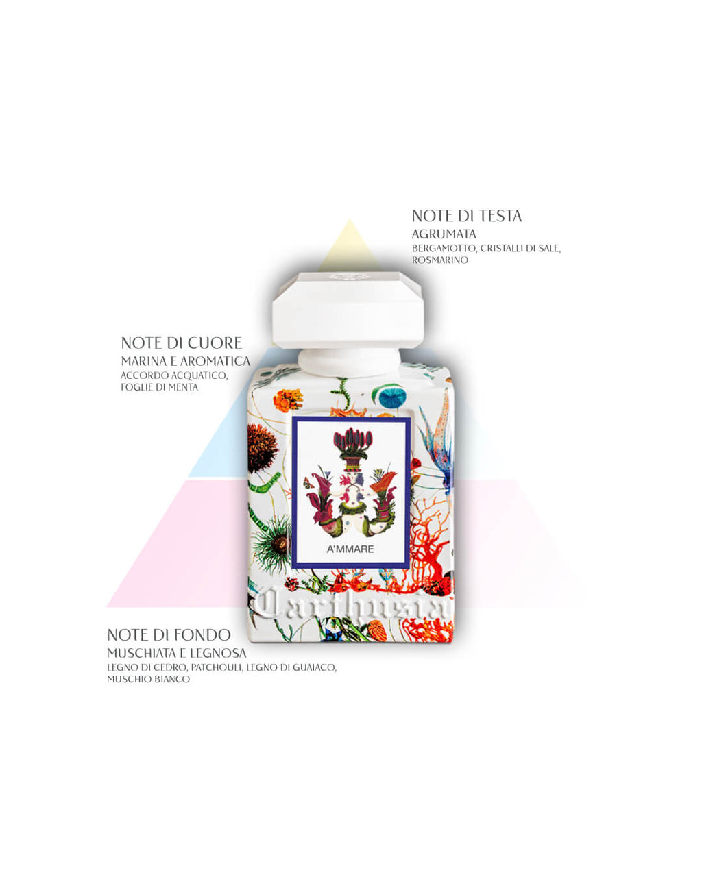 A'mmare Eau de Parfum