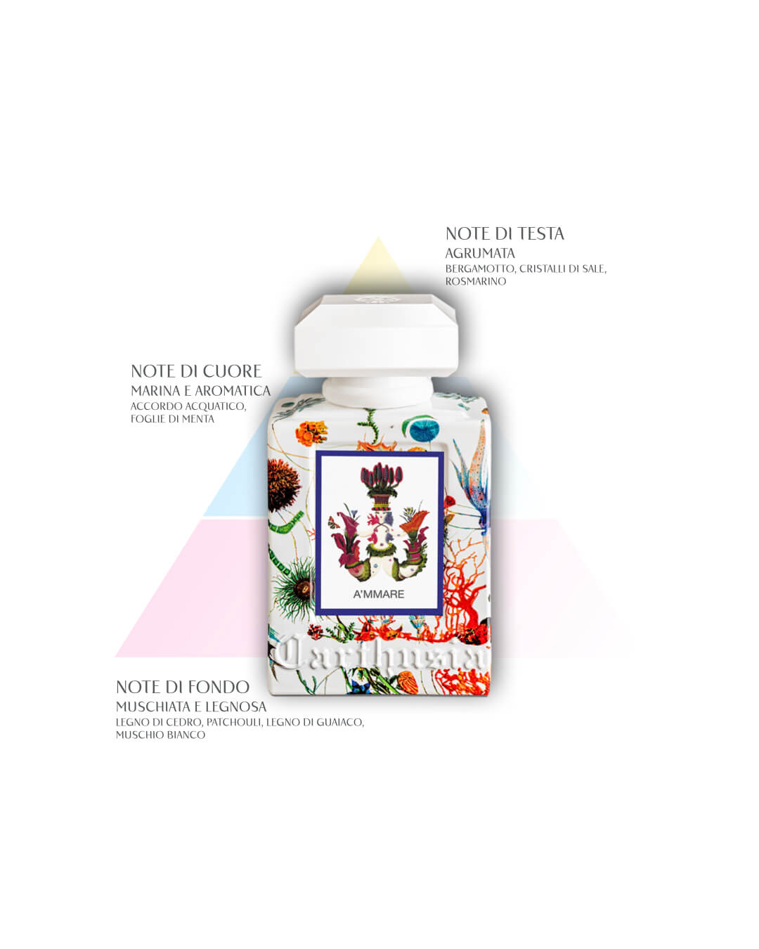 A'mmare Eau de Parfum