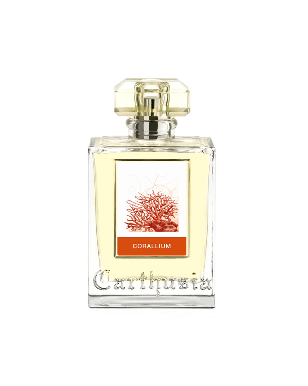 Corallium Eau de Parfum