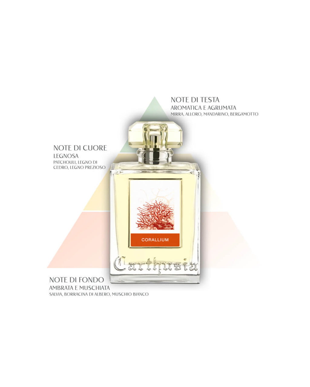 Corallium Eau de Parfum
