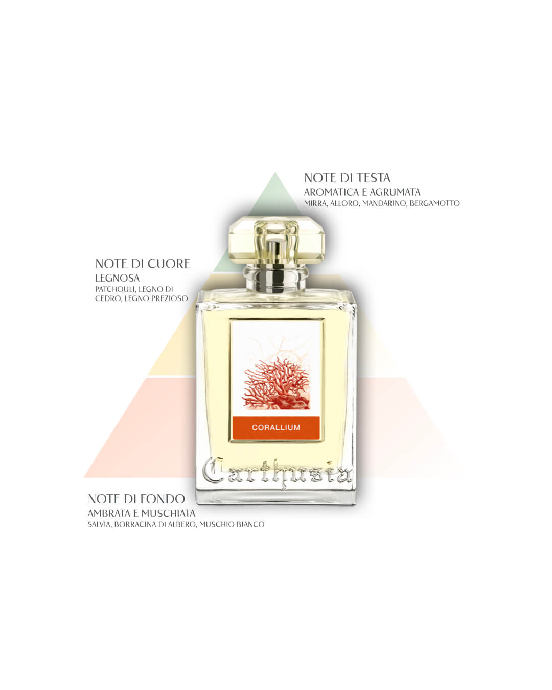 Corallium Eau de Parfum