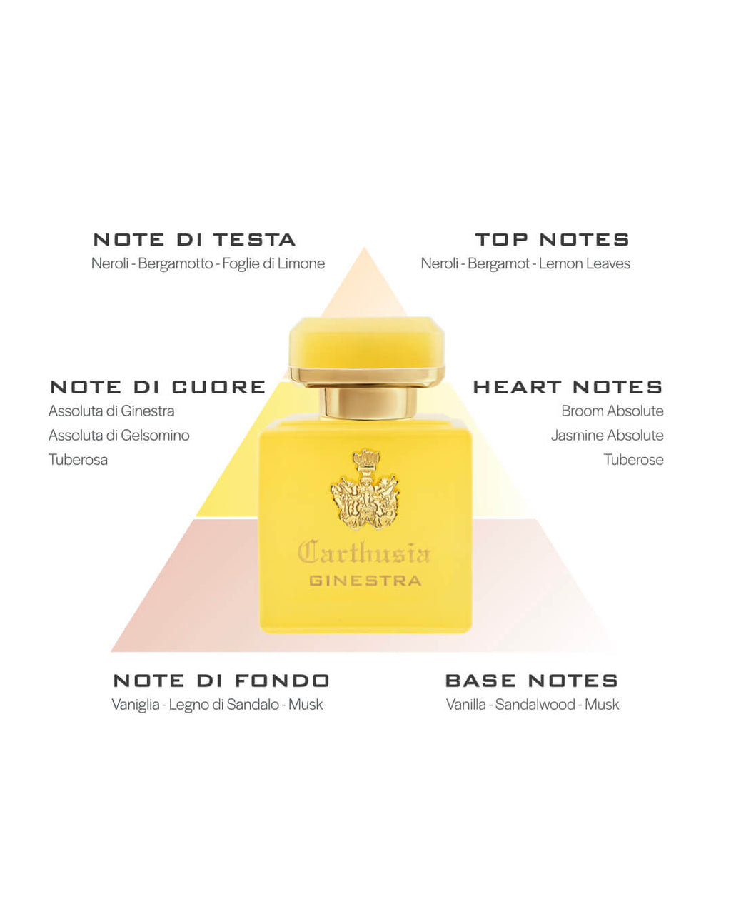 Intenso di Ginestra Extrait de Parfum 50 ml