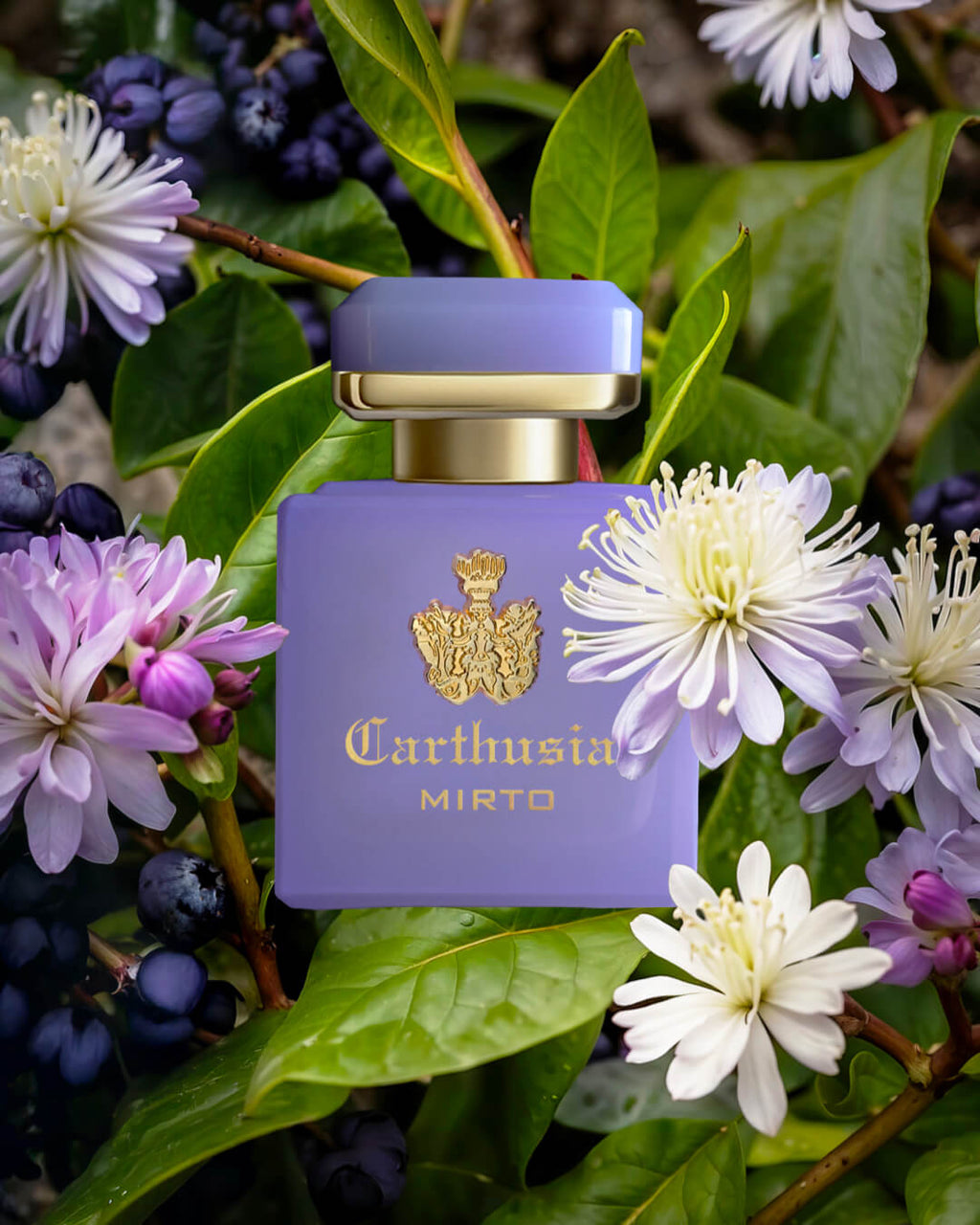 Intenso di Mirto Extrait de Parfum 50ml