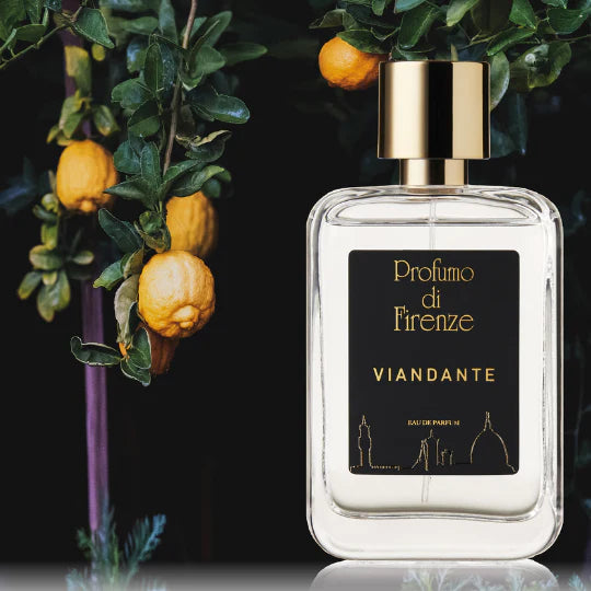 VIANDANTE