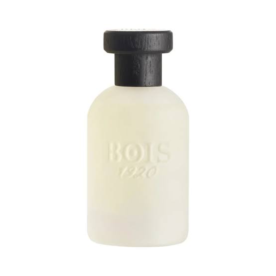 Musk1920