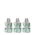 Cedro Atlas Kit