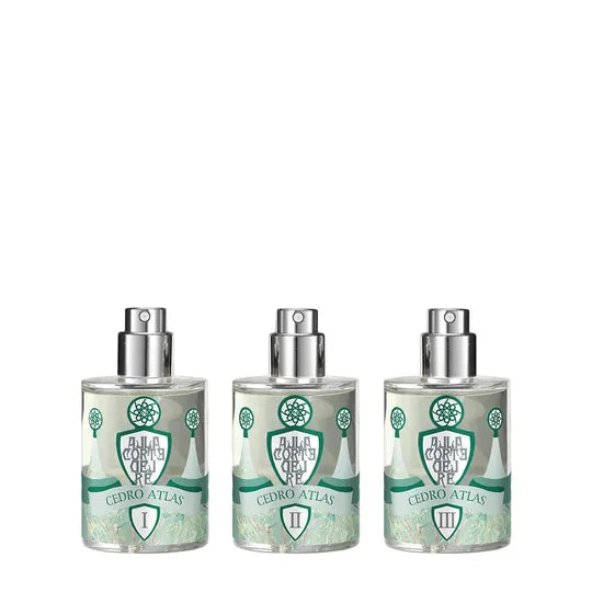 Cedro Atlas Kit
